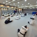 액티브 태권도장 | [한양대 대호 태권도] 관악구 성인 태권도 소개/후기