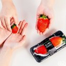 킹스베리 이미지