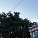 더솔펜션 이미지