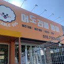 멍구미 | 구미 애견카페 :: 어도러블멍이 다녀온 솔직후기