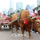 소달구지 - 북구 북문대로242번길 7 | 소달구지
