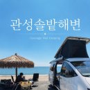 지에스25 자산솔밭점 | 경주 관성솔밭해변 애견동반 노지캠핑 후기, 바다 앞 차박 성지에서 보낸 2박3일 🌊