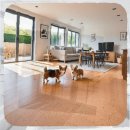 흥선농장 | 양주 강아지입양 가성비 좋은 선택 방법