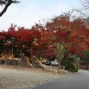 고산자연휴양림 관리사무소 이미지