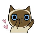 칼빈신학대학원 이미지