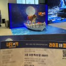 사)소울음아트센터 | 2025 라이프오브파이 후기 ㅣGS아트센터ㅣ3층B블록5열8번 시야ㅣ커튼콜