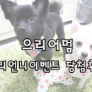 으리언니