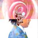 서울전자 이미지