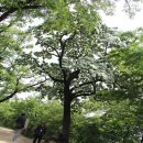 달성공원 이미지