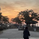 두 바퀴로 그린 자전거 여행 | 인천 자전거 대여 추천｜아라뱃길 라이딩 “두바퀴로 떠나는 여행” 후기