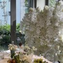 오페라웨딩홀 이미지