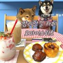 오마이스위츠