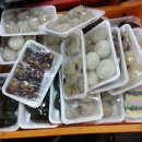 제주시민속오일시장 이미지