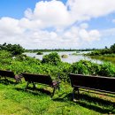 하얀마음 이미지