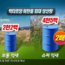 억새2축구장 이미지
