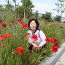 참샘 농원 이미지