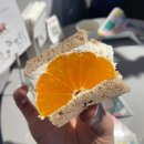삿포로 과일산도 맛집 마지산도 메뉴 웨이팅 후기