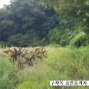 구자옥공인중개사사무소 이미지