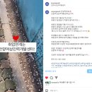 필 인력센터