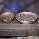 팥죽이네 이미지