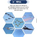매송초등학교 앞 탄천변 | [서울 ADEX 2025]성남공항 에어쇼 관람후기, 전투기 공연과 체험존 준비물 완벽 정리