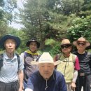 제361차 閑山寺(820m) 우회로 탐방 木曜山行 6.18(목) 이미지