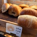 선양프라자 | 양주카페 옥정소금빵맛집 [프롬디오븐]양주본점 n번째 방문 후기
