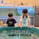 당진축협동물병원 | [당진 아이와 갈만한 곳] 슈퍼드래곤 체험 후기｜파충류·물고기·곤충까지 (내돈내산)