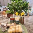 초록화원 | 용인 공세동 대형카페 어반리프ㅣ초록 온실화원 아이랑 가볼만한곳
