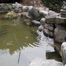 밤나무골 이미지