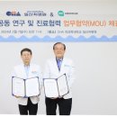 인터메드 이미지