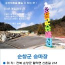순창군승마장 이미지