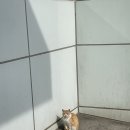 요하네스 논산점