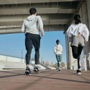 부동산경매공법(주간) 이미지