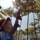 이산농장 이미지