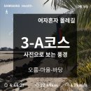 표선리회전교차로↔표선리어촌계 | [제주도 올레길 3-A코스] 정리된 사진으로 보는 성산, 표선 완주 후기