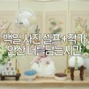 안산 백일촬영 스튜디오 추천 | 너를담는시간 안산점 셀프 + 작가 촬영 후기 (내돈내산)