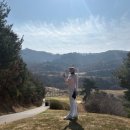 늘푸른사우나 | 푸른솔GC포천 3월 오전 골프라운딩 후기 밸리코스 레이크코스 식사 커피 붕어빵 순대 막걸리제공