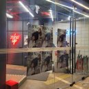 씨제이아지트(CJ azit) | 레인보우 노트(Rainbow note) 단독 콘서트 후기