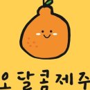 제주특산품할인매장
