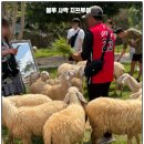 파랑 이미지