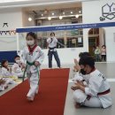 영종하늘태권도장 이미지