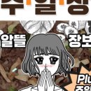 한국버섯공사