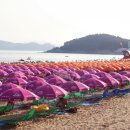 오산11리 이미지