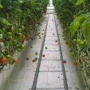 전부치는집 | 잘 될 거라고 믿는 편입니다. 나 빼고 전부다.. 나만 화이팅하면 돼