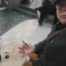 법인케렌시아