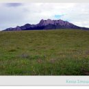 너른초원 이미지