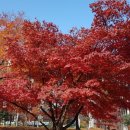 신촌당구클럽 이미지