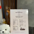 쉘카페 | 송내역 애견카페 멍쉘 후기 강아지 힐링 데이트 추천