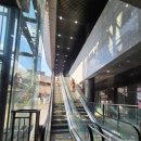 천호약국 | 천호미용실염색 유목민 정착! 어썸디헤어 천호 밀크브라운 후기